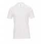 Polo ROME